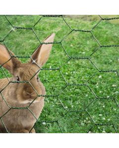 Chicken Wire Mesh Rabbit Animal Fence Green PVC