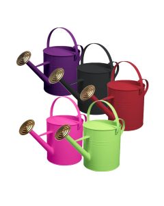 Metal Steel Watering Can with Brass Rose