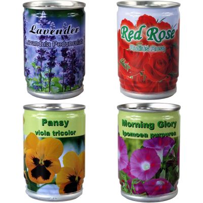 Plant in a Tin Grow Your Own Flowers Floral Arrangements