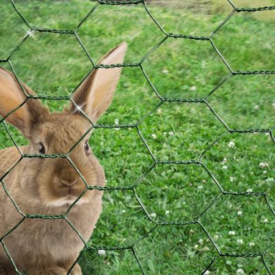 Chicken Wire Mesh Rabbit Animal Fence Green PVC