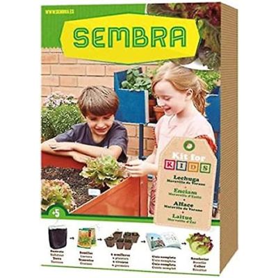 Sembra My First Planting Grow Your Own Lettuce Kit