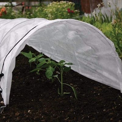 Polyethylene Transparent Plant Grow Tunnel