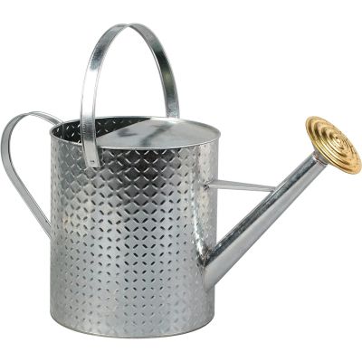 Galvanised Steel Watering Can with Watering Rose