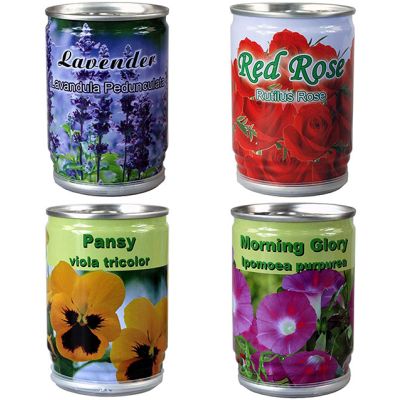 Plant in a Tin Grow Your Own Flowers Floral Arrangements