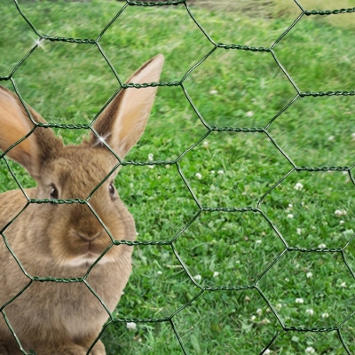 Chicken Wire Mesh Rabbit Animal Fence Green PVC
