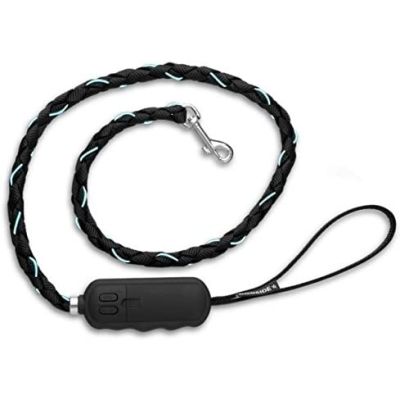 Dogside Flash LED Light Up Dog Lead Night Safty Glow