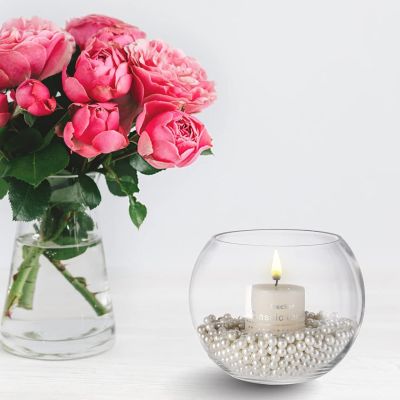 Sphere Bubble Ball Flower Vase