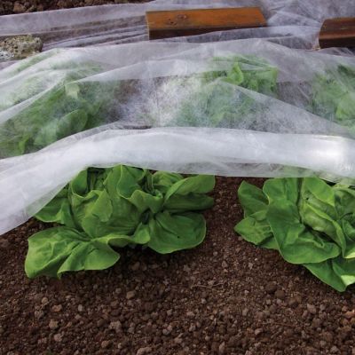 Extra Large Fleece Plant Cover Sheet