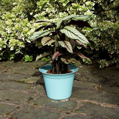 Planter Flower Pots Contemporary TURQUOISE design